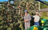 IMG 20191019 WA0004