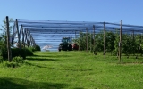 P1030256