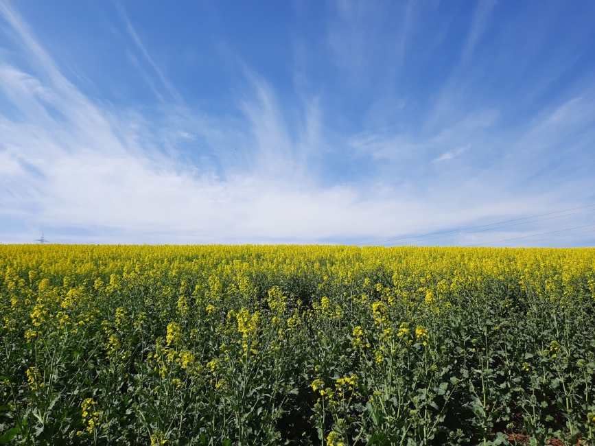 Impression vom 19.01.2026