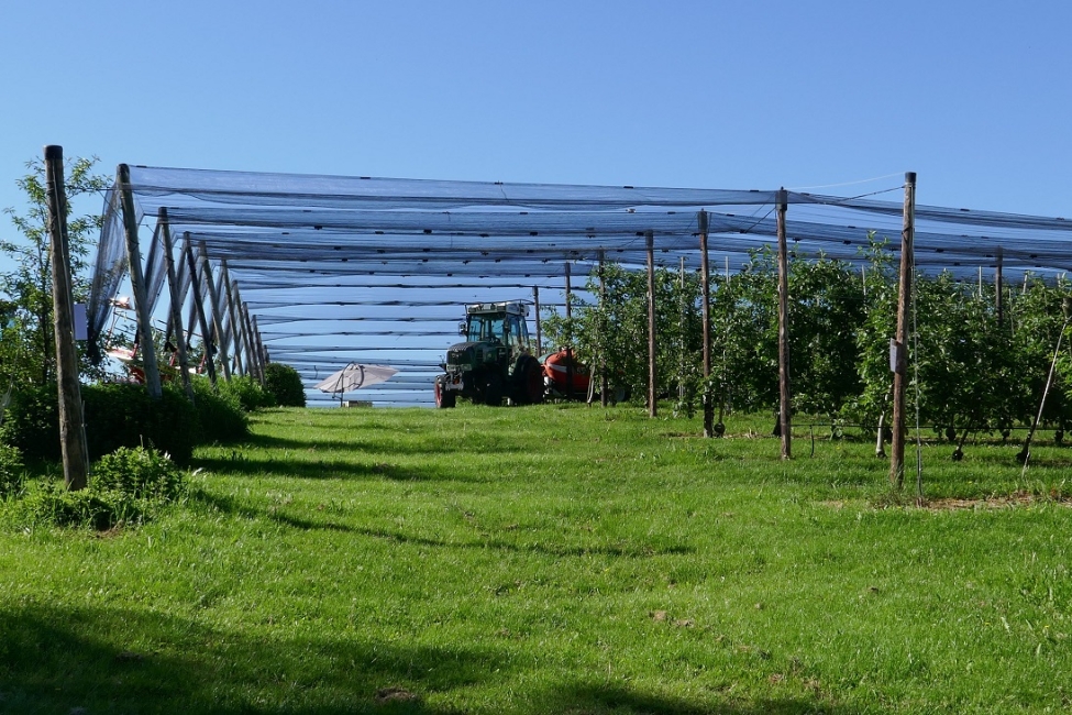 Impression vom 19.01.2026