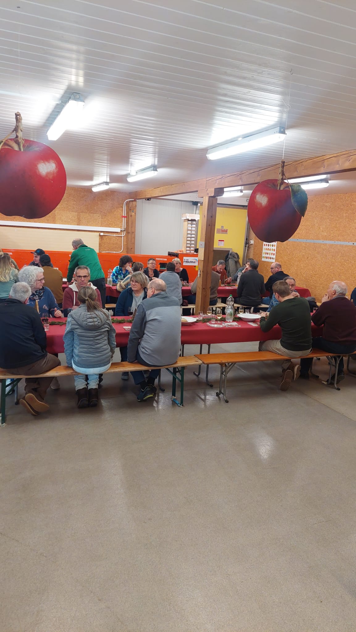 Saisonmitarbeiter bei der Ernte